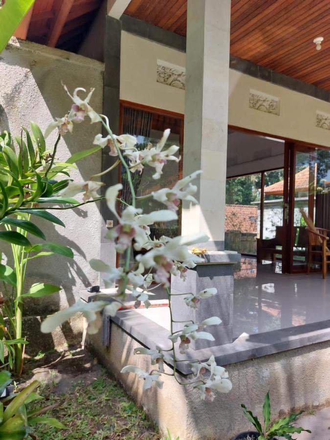 Pondok Kukuh Villa Sidemen Sidemen  Eksteriør bilde